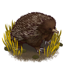 Echidna