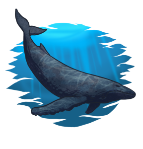 Whale