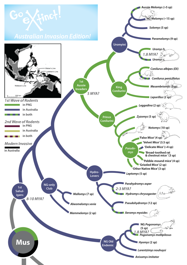 Using Evolutionary Trees to Frame Research Questions